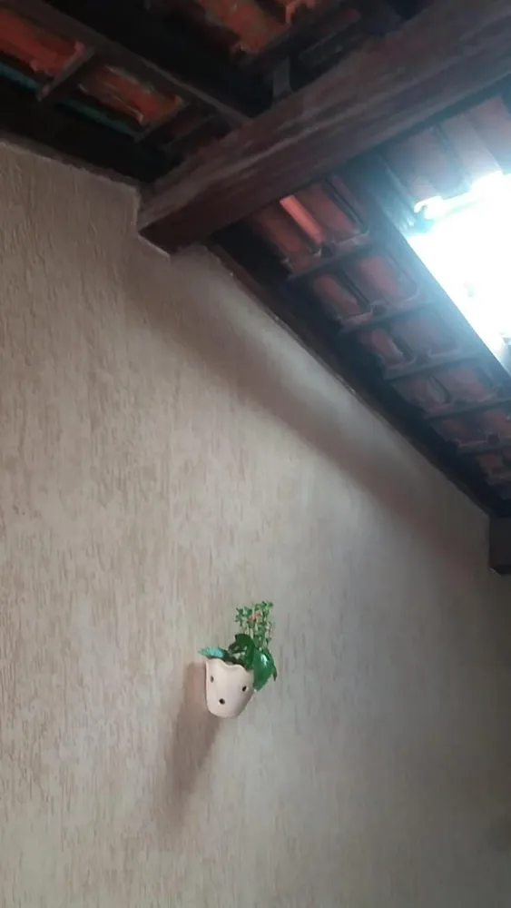 Casa, 4 quartos, 200 m² - Foto 7