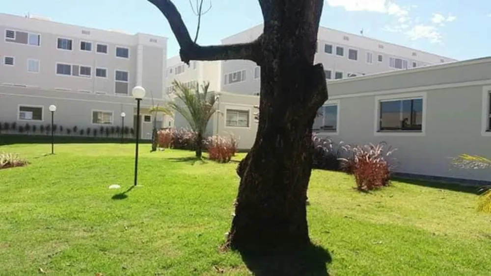Apartamento, 2 quartos, 45 m² - Foto 2