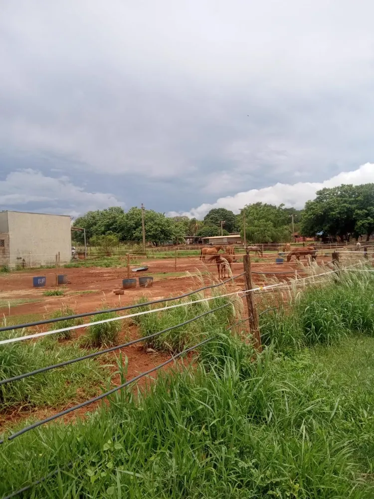 Terreno, 2900 m² - Foto 1