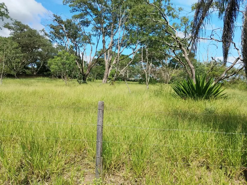 Terreno, 6500 m² - Foto 3