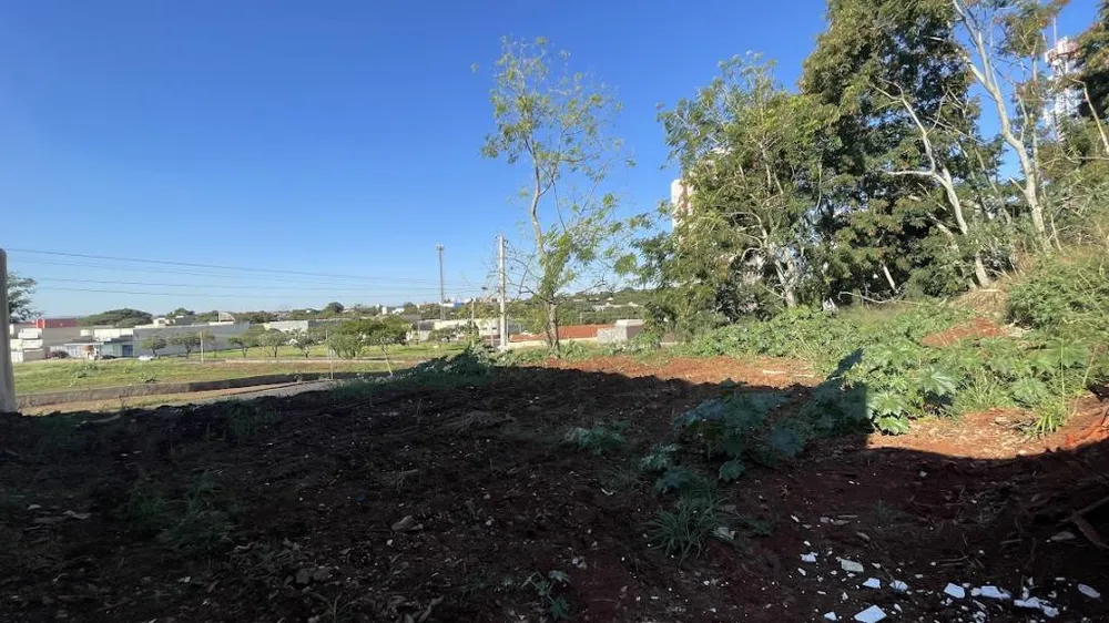 Terreno, 1716 m² - Foto 7