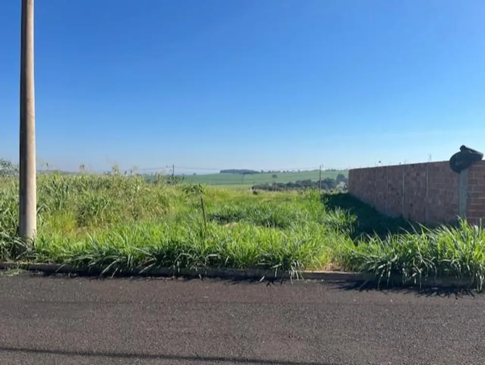 Terreno, 250 m² - Foto 4