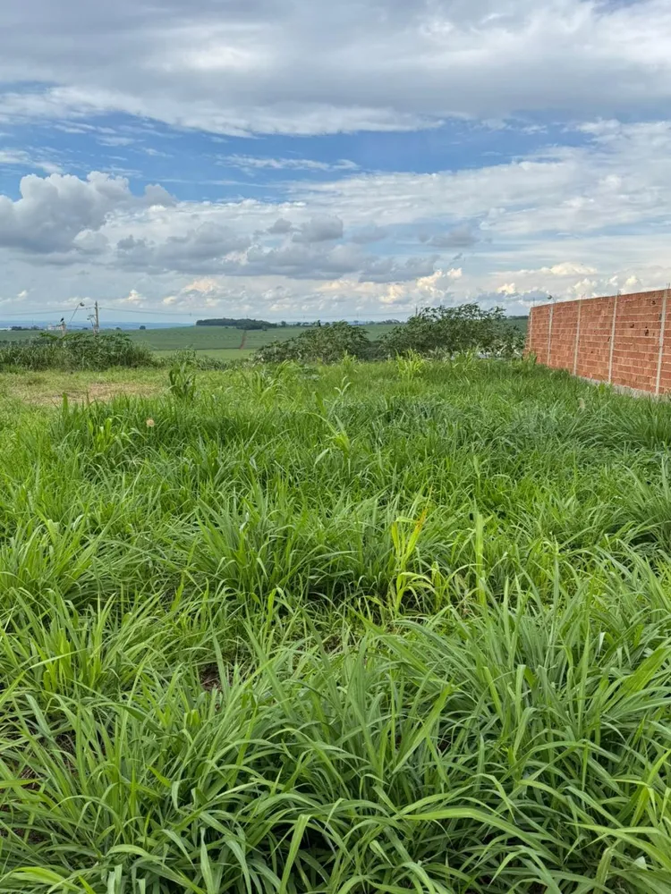 Terreno, 250 m² - Foto 2