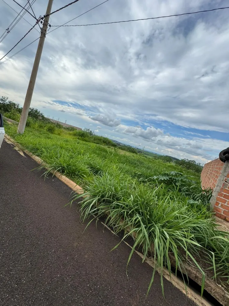 Terreno, 250 m² - Foto 1