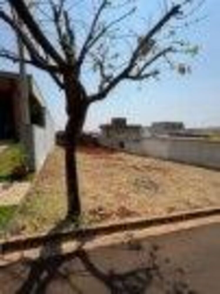 Terreno à venda, 250m² - Foto 2