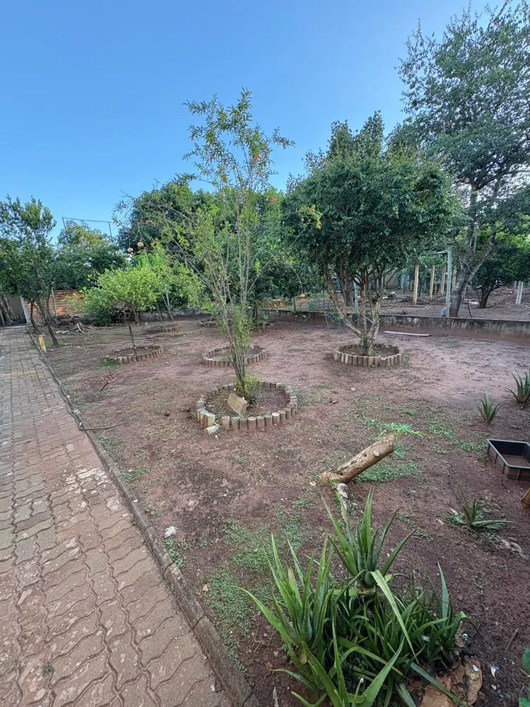 Chácara, 6 quartos, 5000 m² - Foto 9