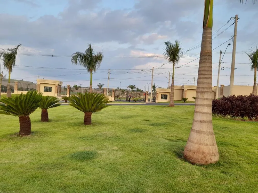 Terreno, 250 m² - Foto 3