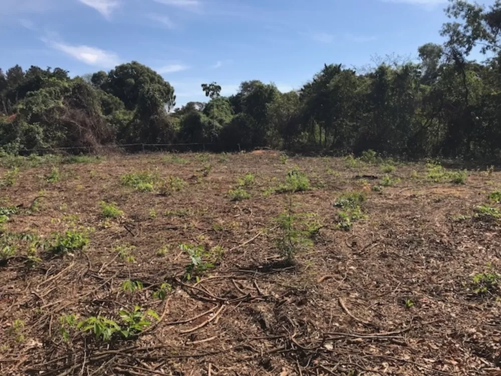 Terreno à venda, 10000m² - Foto 8