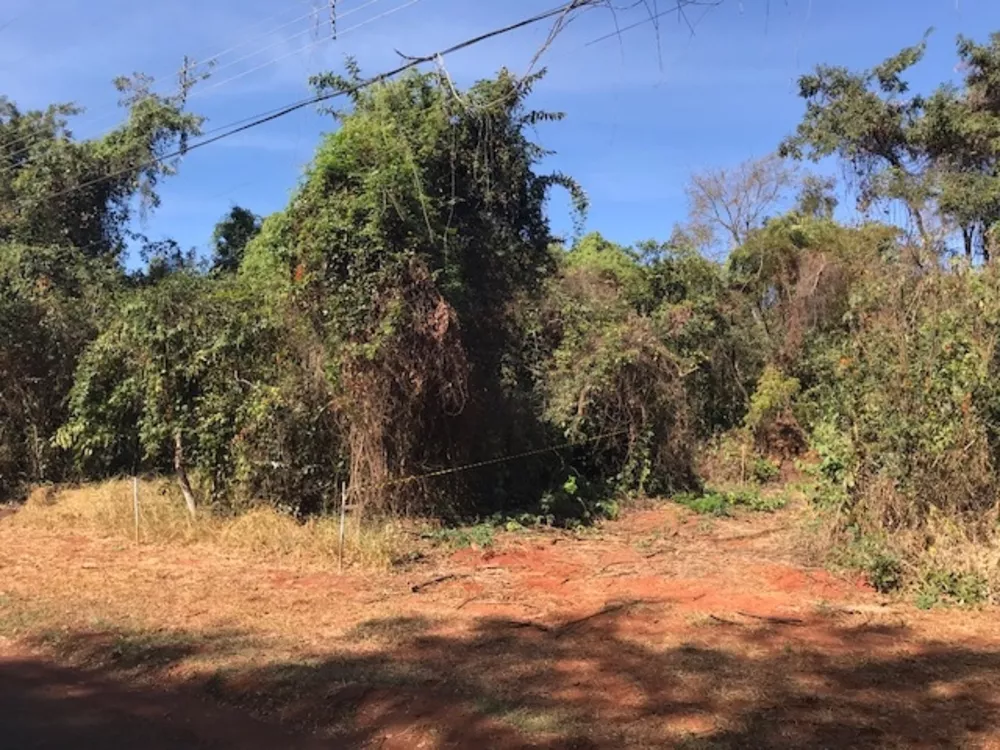 Terreno à venda, 10000m² - Foto 3