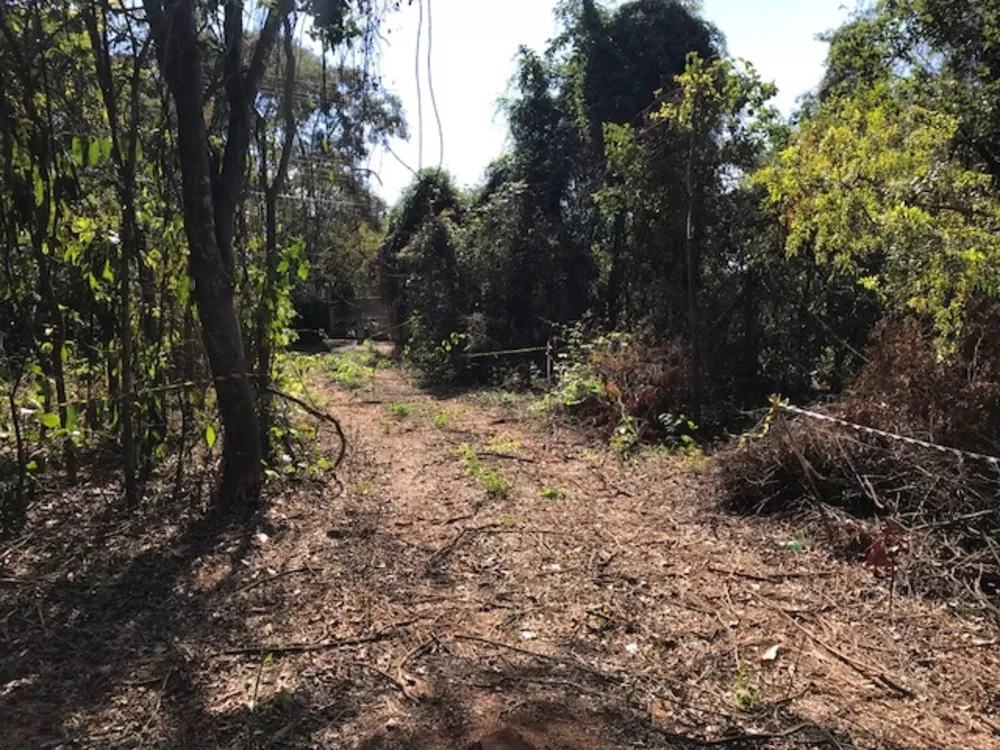 Terreno à venda, 10000m² - Foto 7