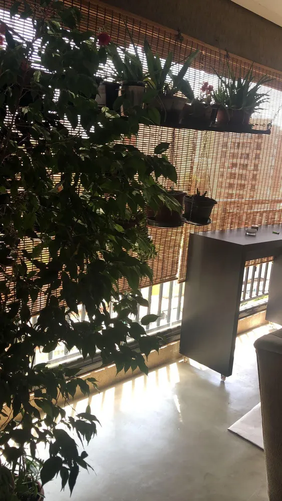 Apartamento, 1 quarto, 54 m² - Foto 1