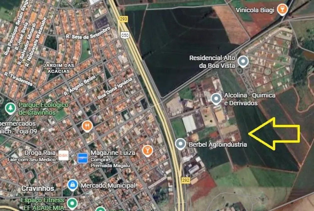 Terreno, 7 hectares - Foto 4