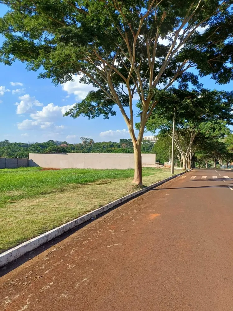 Terreno, 464 m² - Foto 4