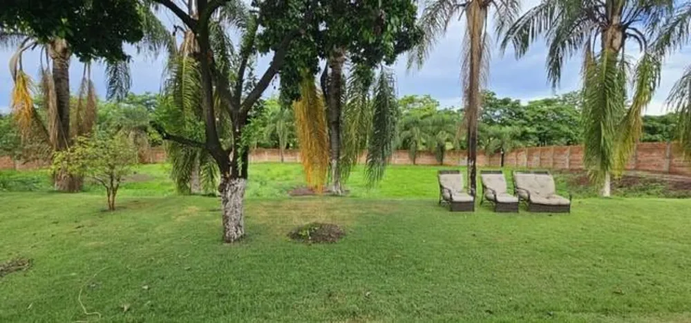 Chácara, 3 quartos, 5000 m² - Foto 7