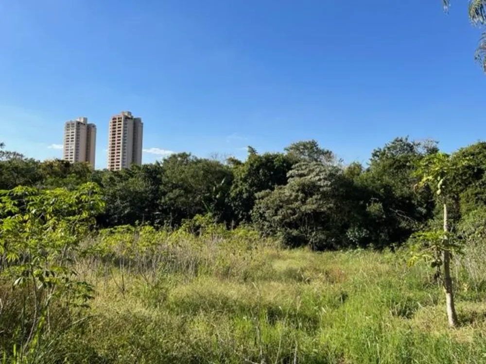 Terreno, 2 hectares - Foto 7