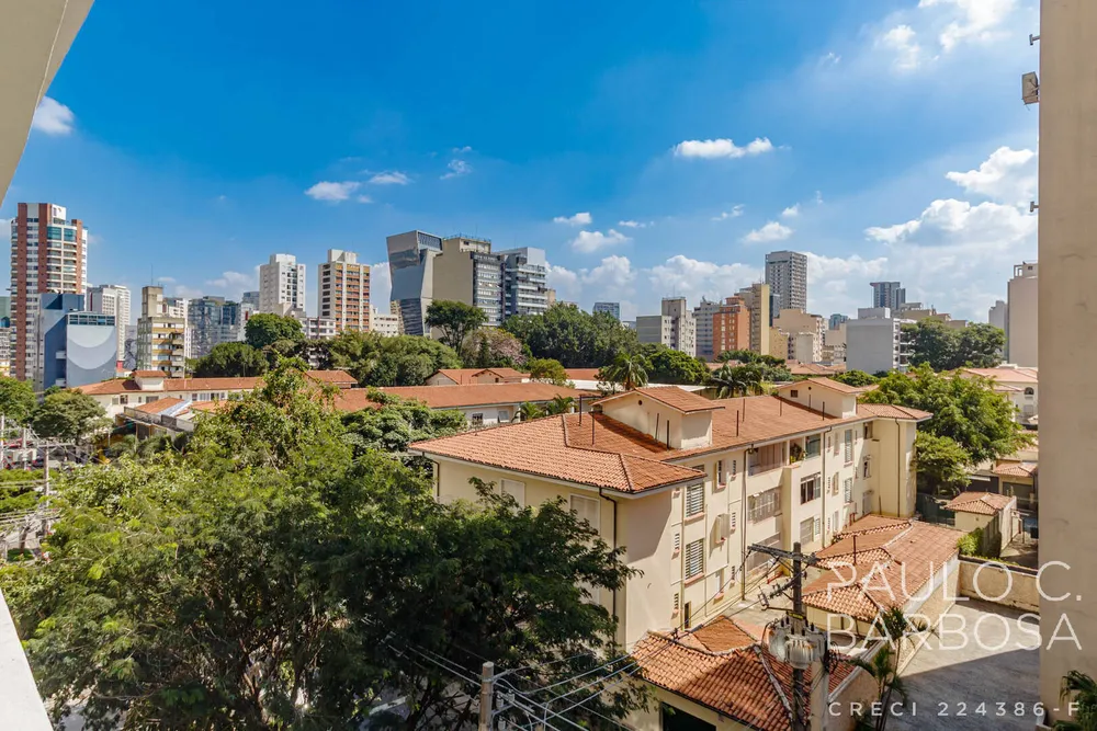 Apartamento, 4 quartos, 230 m² - Foto 10
