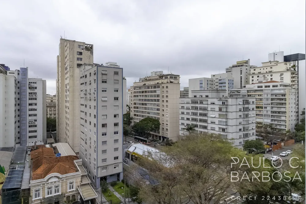 Apartamento, 3 quartos, 230 m² - Foto 4
