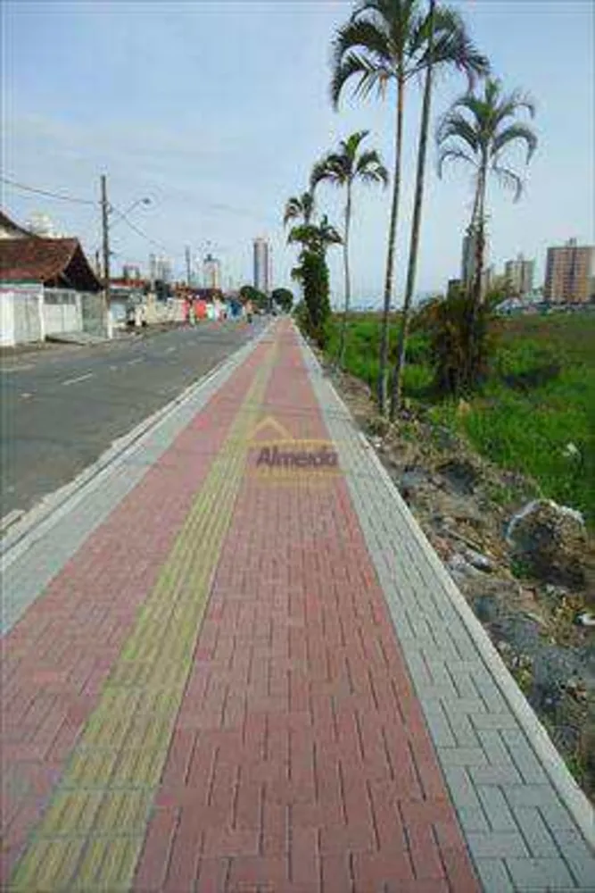Terreno, 4 hectares - Foto 8