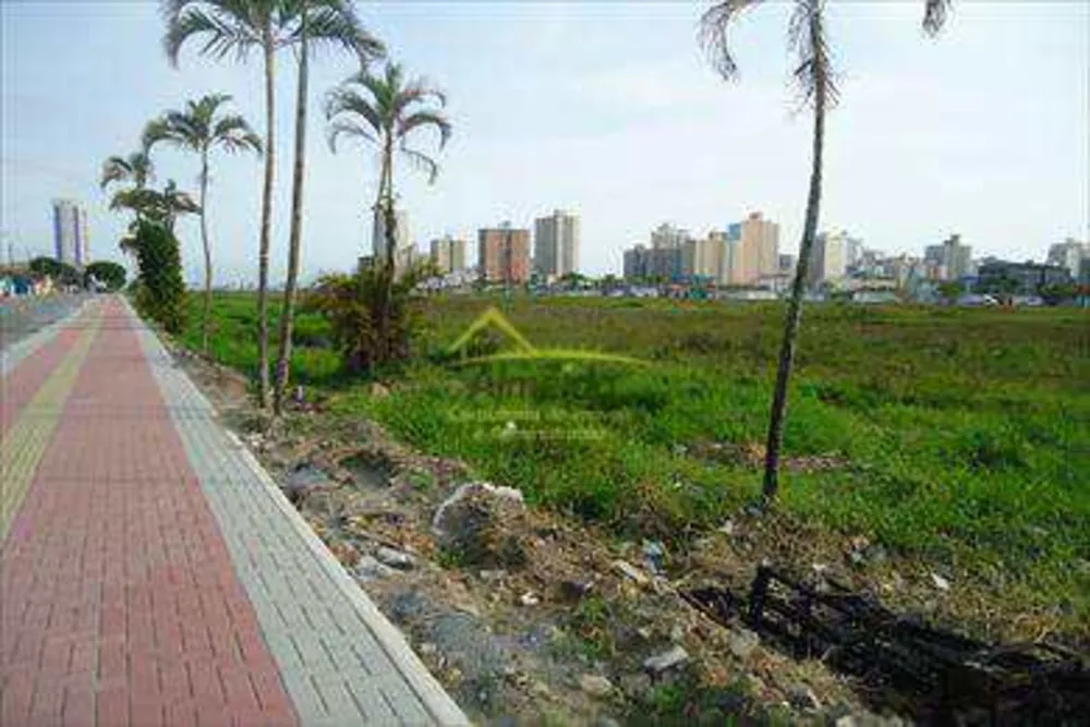 Terreno, 4 hectares - Foto 12