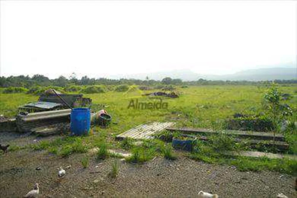 Terreno, 4 hectares - Foto 5