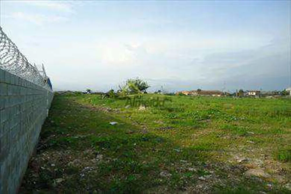 Terreno, 4 hectares - Foto 11