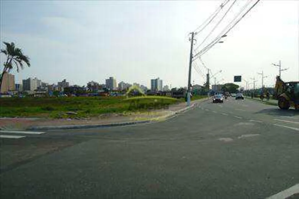 Terreno, 4 hectares - Foto 6