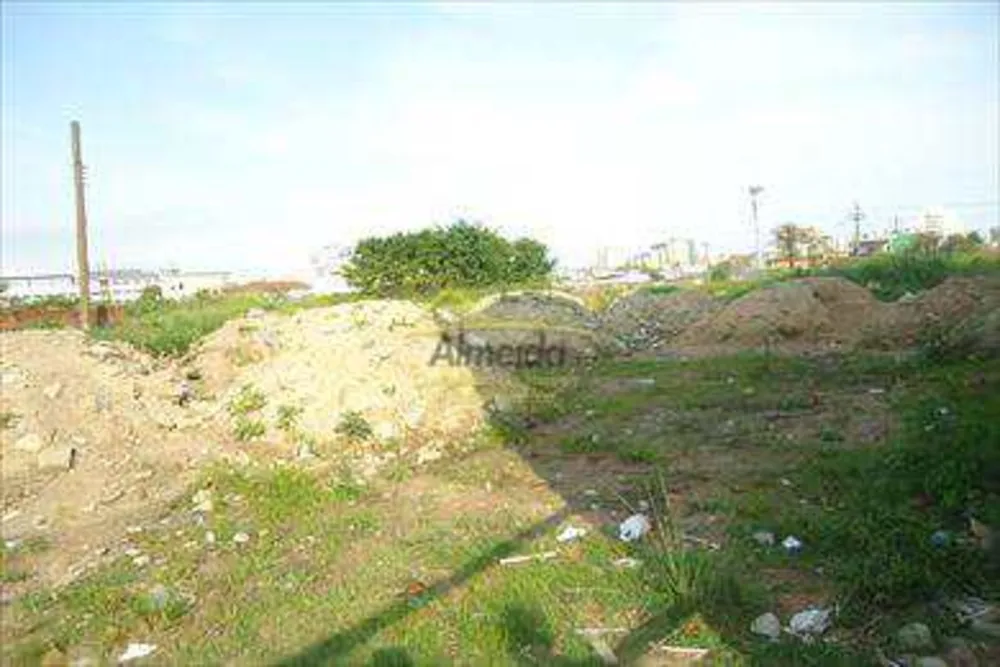 Terreno, 4 hectares - Foto 9