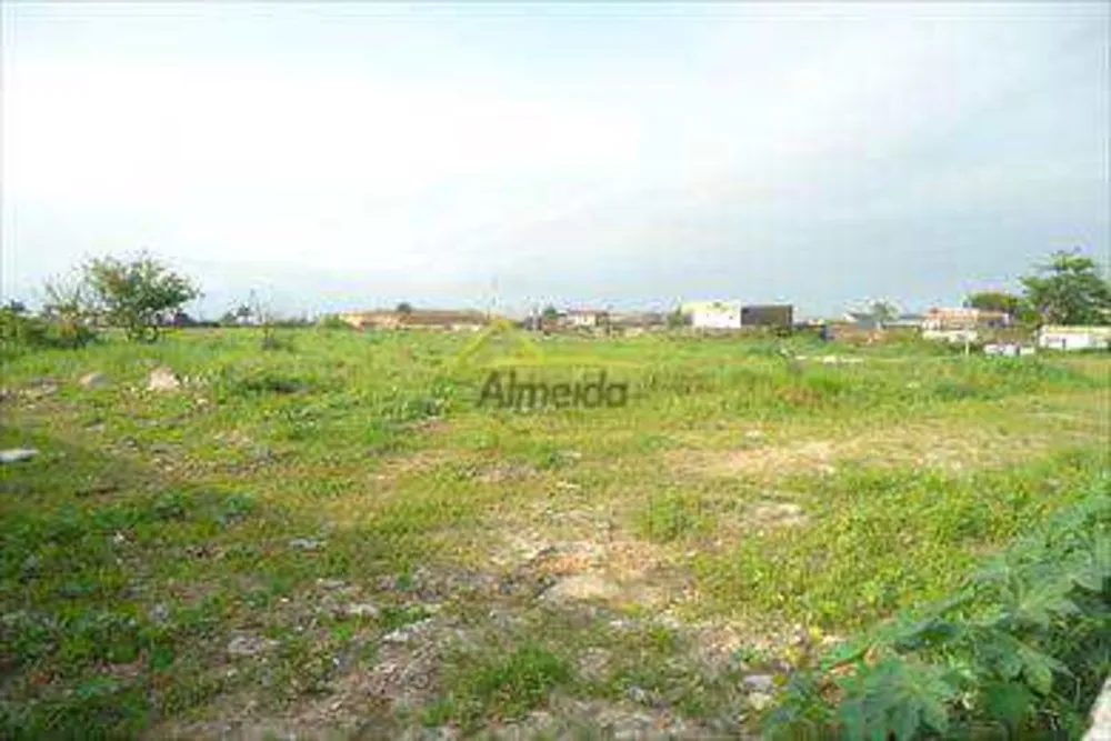 Terreno, 4 hectares - Foto 10