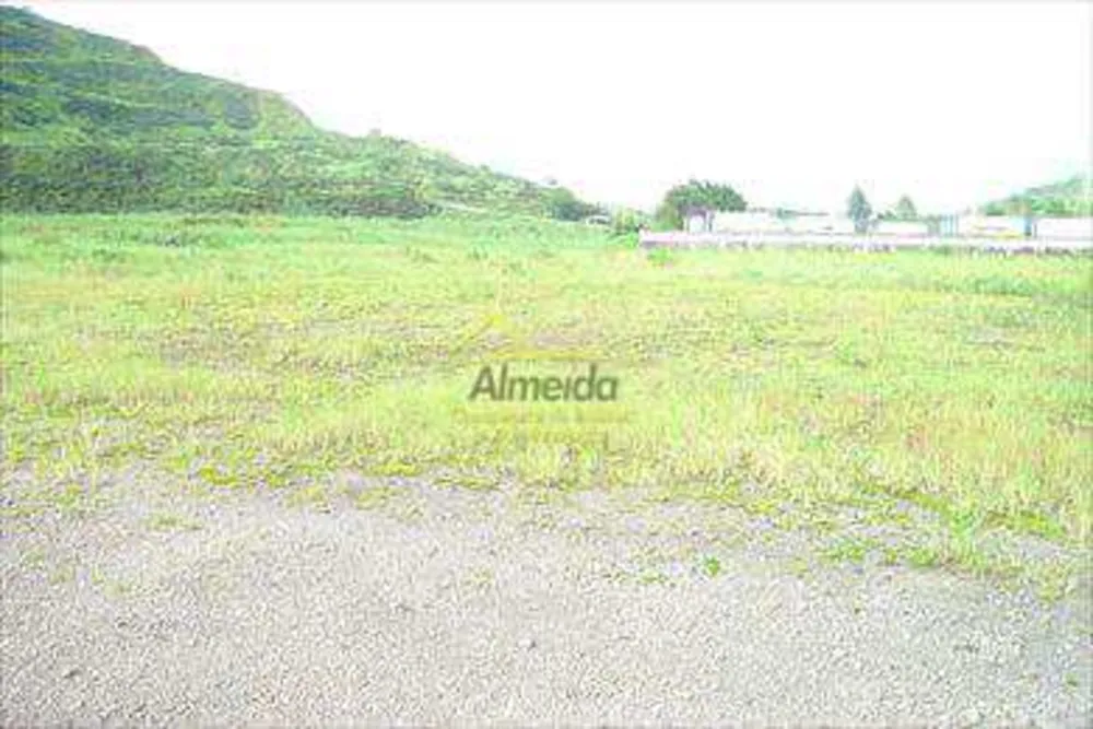 Terreno - Foto 5