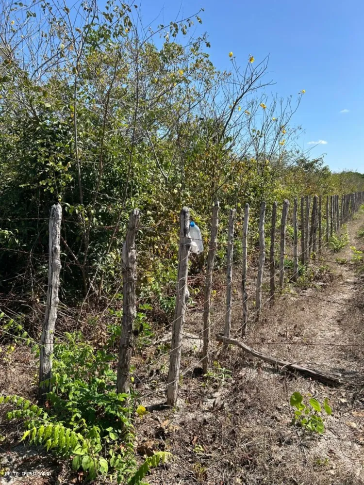 Terreno - Foto 2