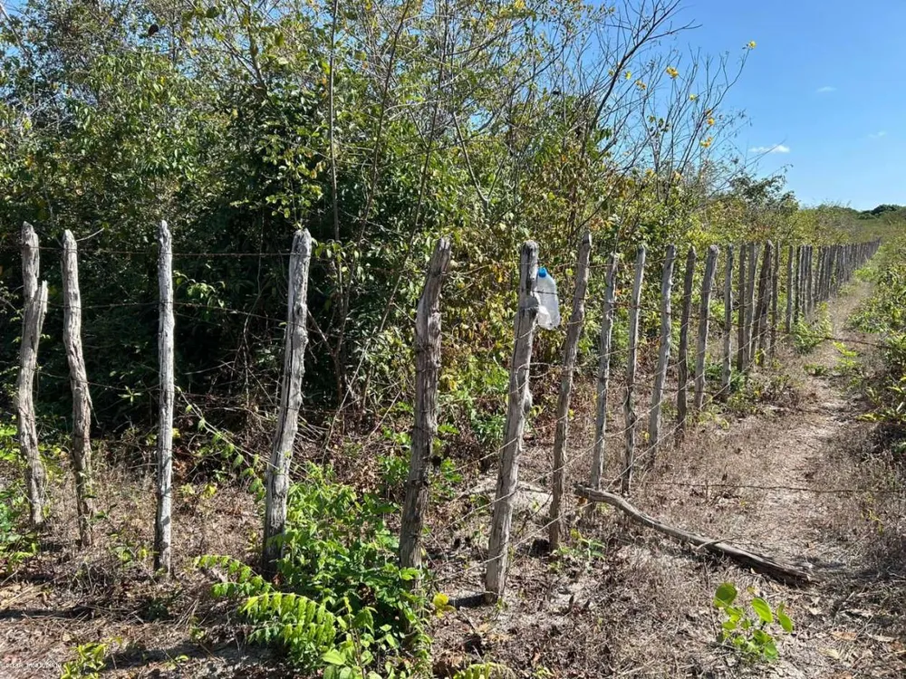 Terreno - Foto 1