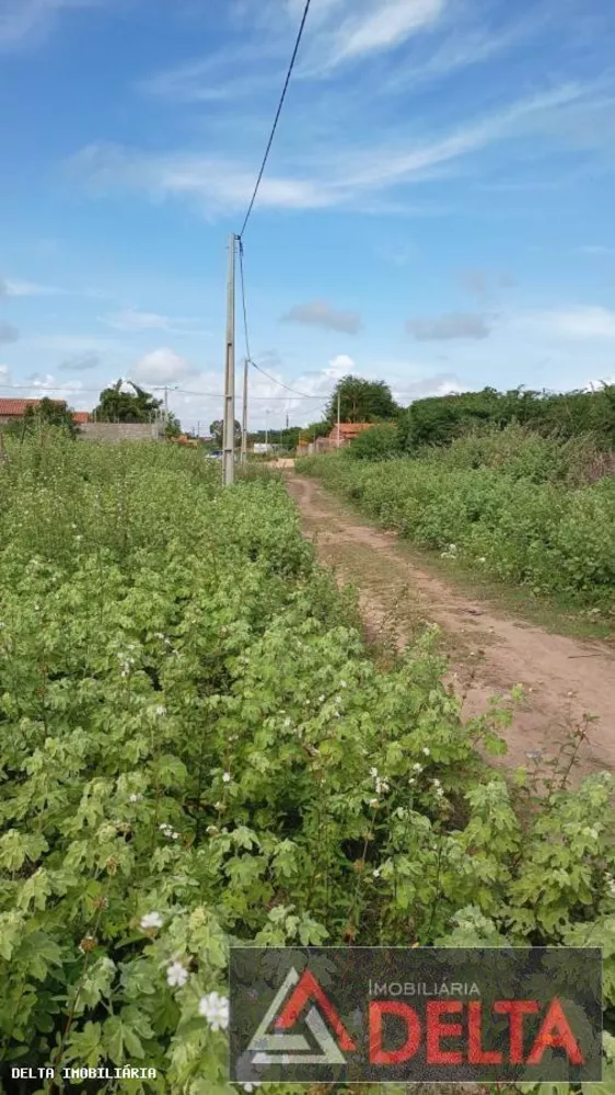 Terreno à venda, 1650m² - Foto 4