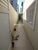 Sobrado, 2 quartos, 300 m² - Foto 18