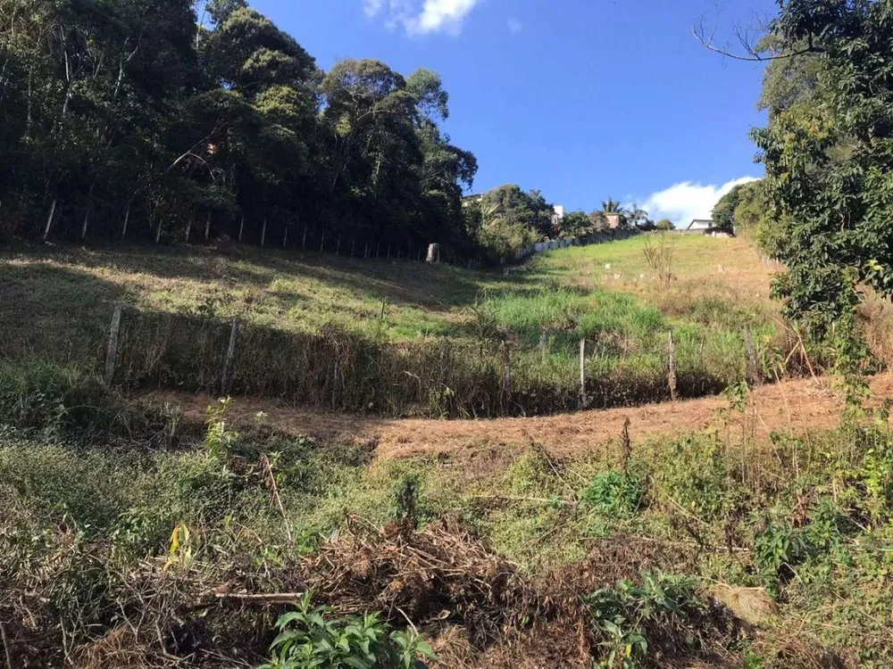 Terreno, 6000 m² - Foto 4