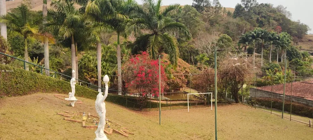 Chácara, 5 quartos, 3 hectares - Foto 11