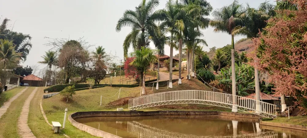 Chácara, 5 quartos, 3 hectares - Foto 9