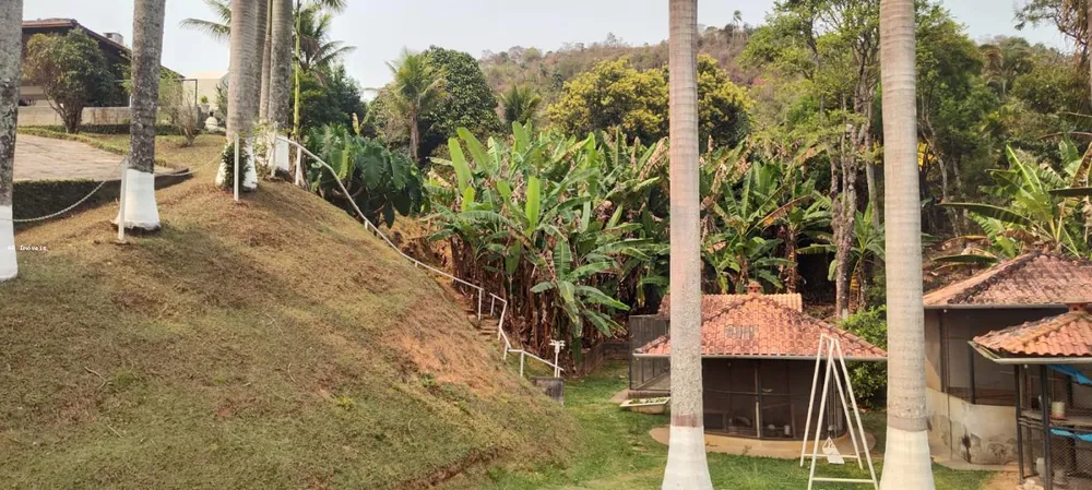 Chácara, 5 quartos, 3 hectares - Foto 3