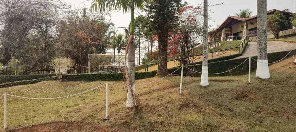 Chácara, 5 quartos, 3 hectares - Foto 4