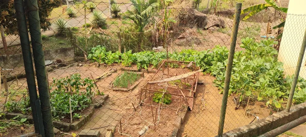 Chácara, 5 quartos, 3 hectares - Foto 13