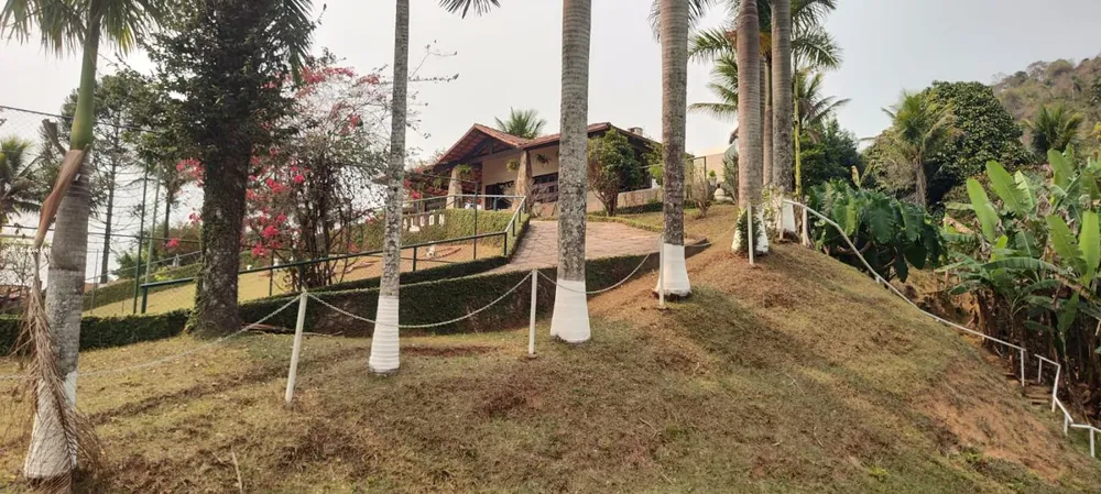 Chácara, 5 quartos, 3 hectares - Foto 2