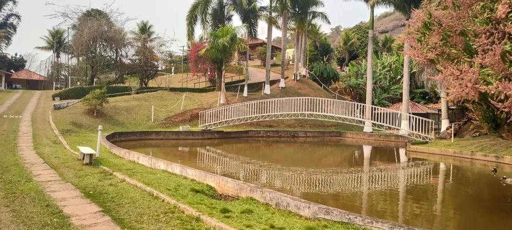 Chácara, 5 quartos, 3 hectares - Foto 8