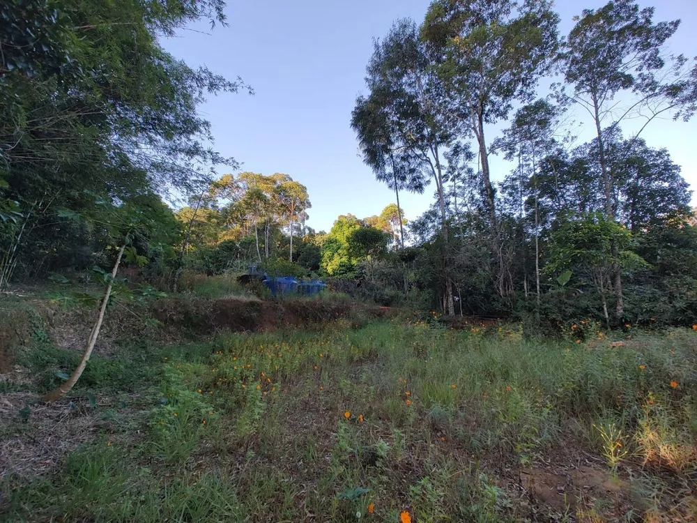 Casa, 5 quartos, 380 m² - Foto 4