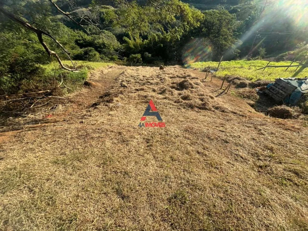 Terreno, 597 m² - Foto 3