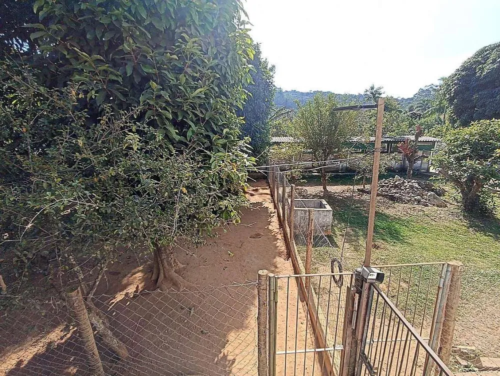 Chácara, 5 quartos, 3250 m² - Foto 6