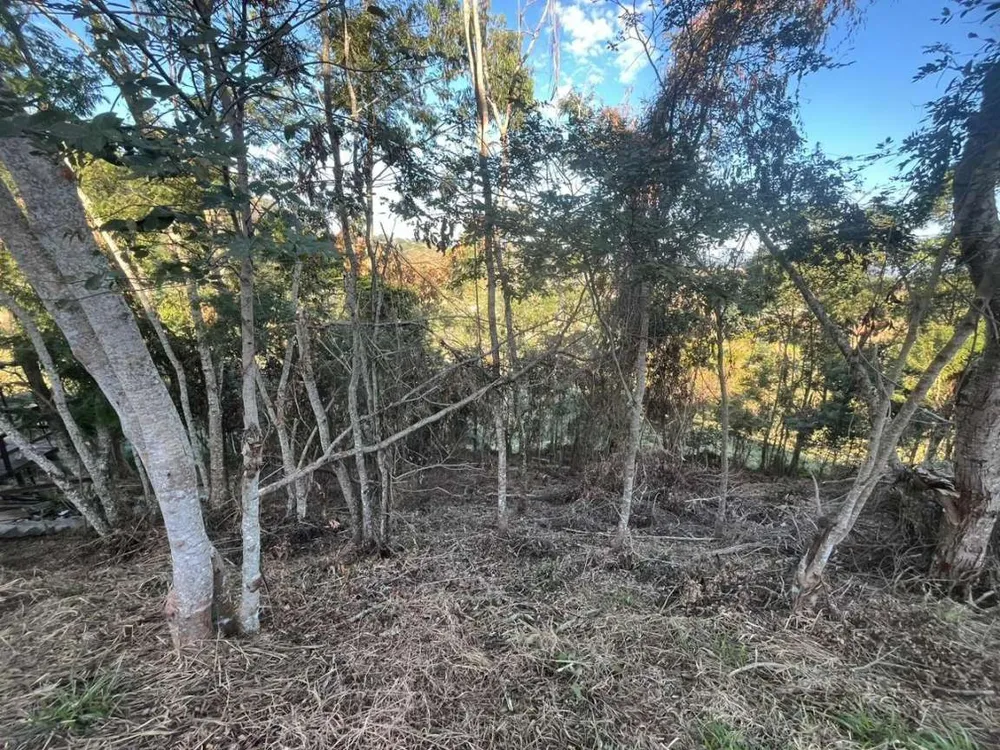 Terreno, 1263 m² - Foto 8