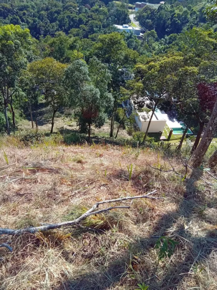 Terreno, 3035 m² - Foto 6