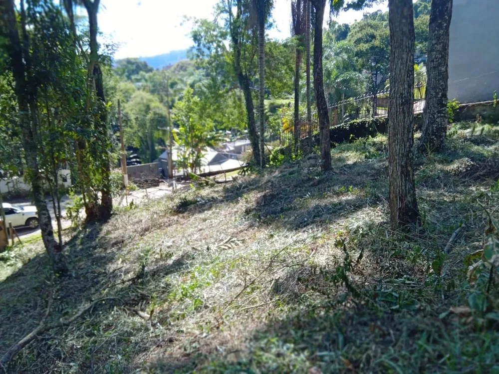 Terreno, 3035 m² - Foto 9