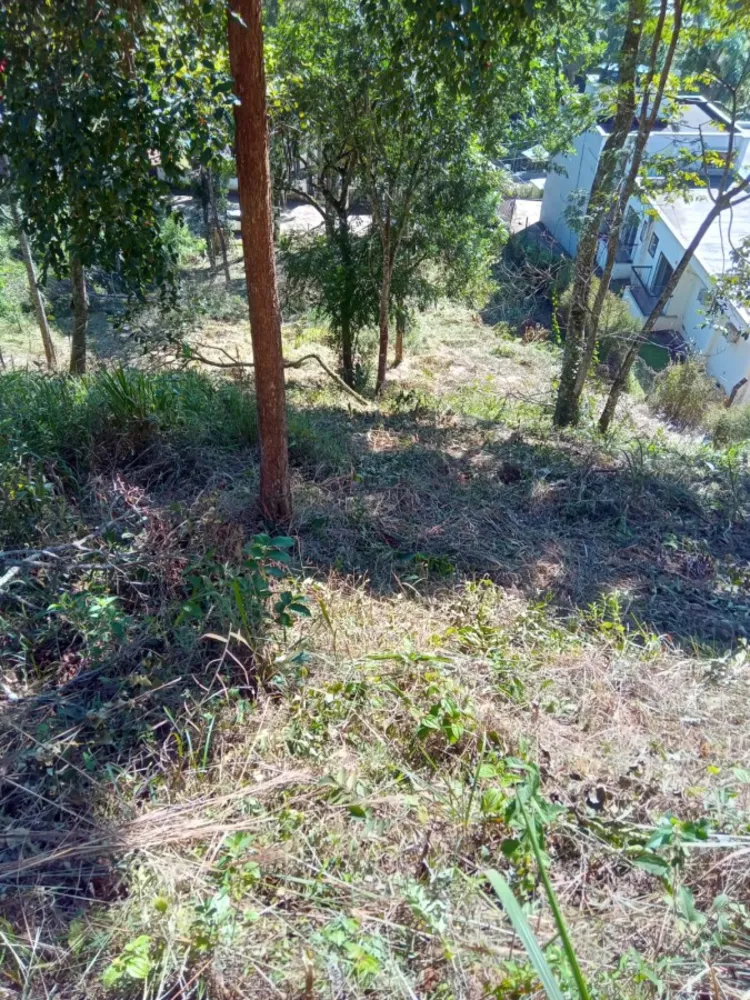 Terreno, 3035 m² - Foto 5