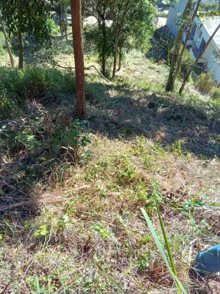 Terreno, 3035 m² - Foto 3