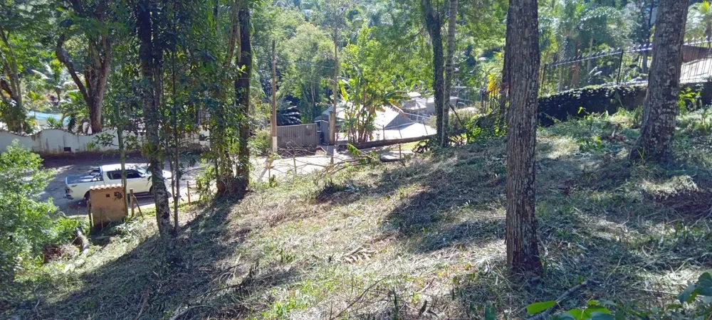 Terreno, 3035 m² - Foto 7
